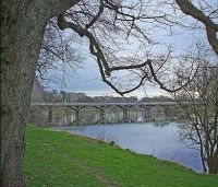 The Lancashire Festival