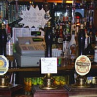 Mustard Club at Stamps Bar